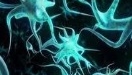 Стволовые клетки дарят надежду миллионам незрячих людей